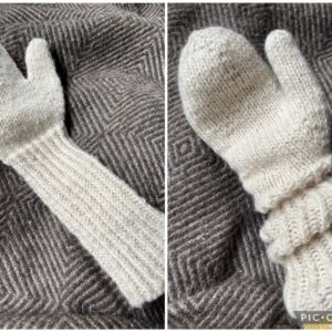 Feline mittens chunky edition